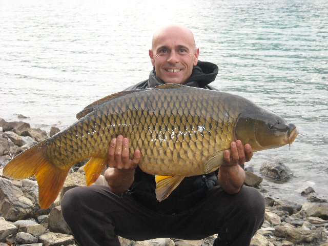 pcf10.jpg