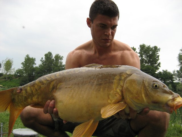 Fiume Adda 23-06-2011 003.jpg
