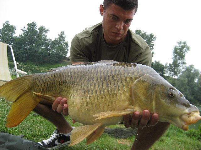 Fiume Adda 23-06-2011 007.jpg