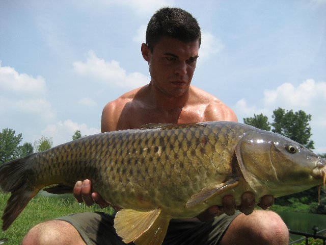 Fiume Adda 23-06-2011 013.jpg