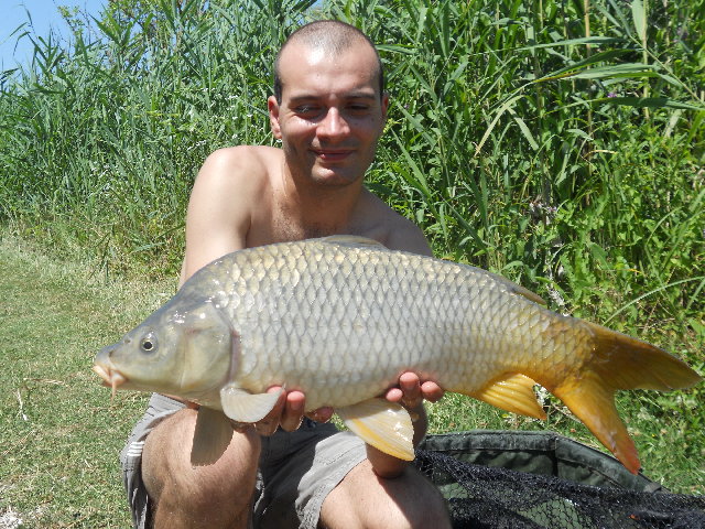 fossatone srm 011 001.jpg