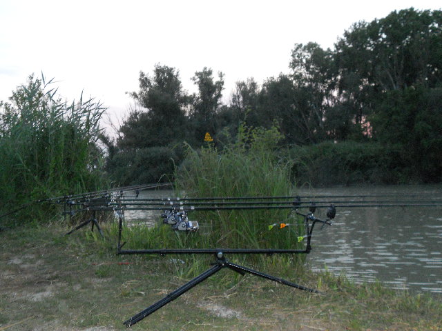 fossatone srm 011 004.jpg