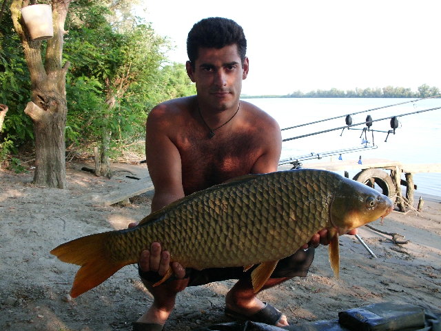 CIMG0294.JPG