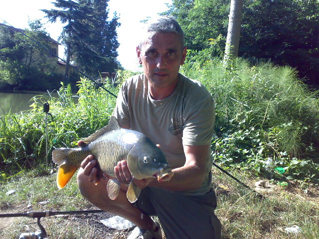 11082011237.jpg