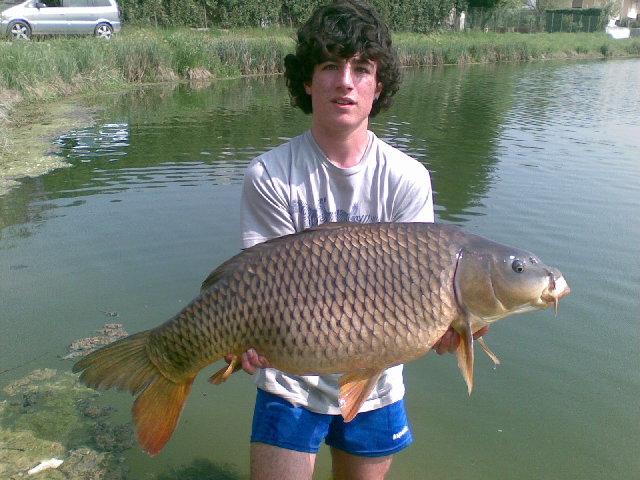 09042009.jpg