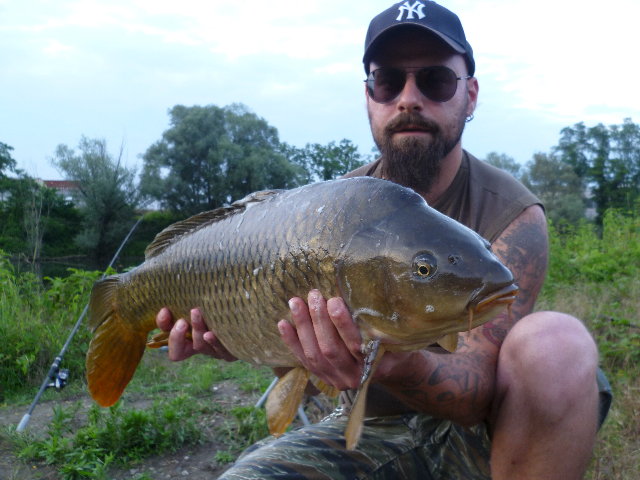 P1010101.JPG (2 MiB) Visto 3808 volte P1010101.JPG