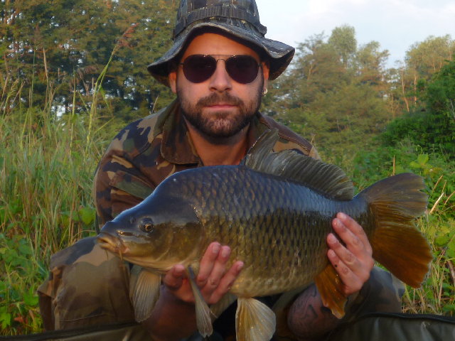 P1010137.JPG (1.45 MiB) Visto 3807 volte P1010137.JPG