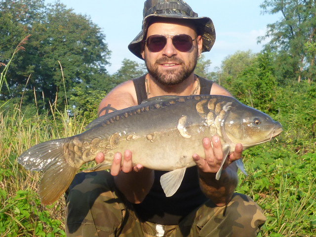 P1010139.JPG (156.8 KiB) Visto 3690 volte P1010139.JPG