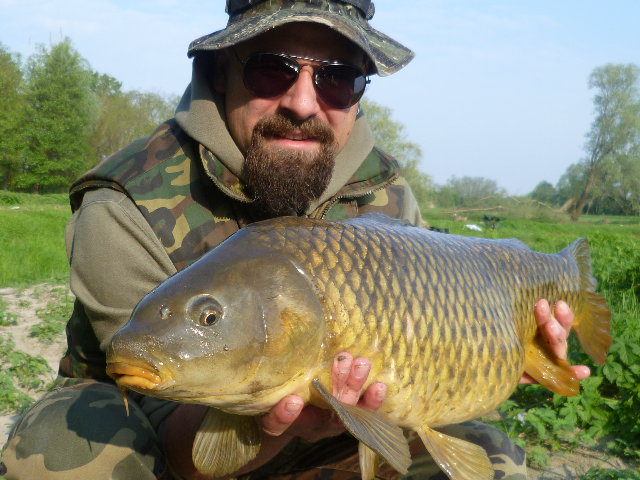 P1010067.JPG (2.07 MiB) Visto 3690 volte P1010067.JPG