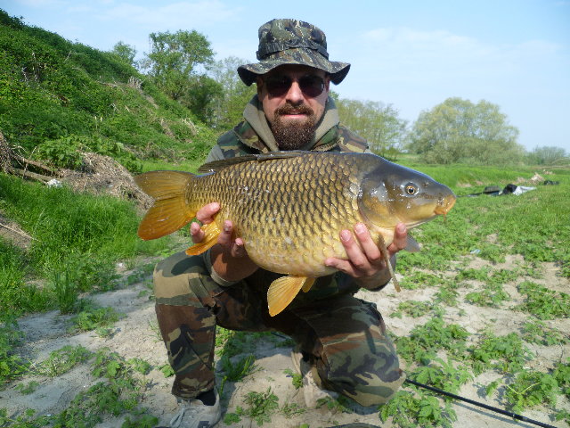 P1010061.JPG (4.74 MiB) Visto 3816 volte P1010061.JPG