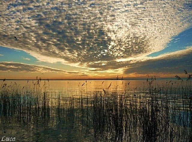 coperta di cielo x.jpg