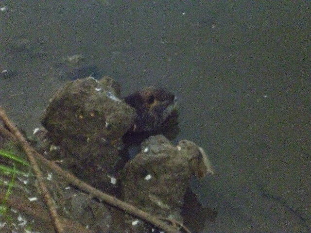 P1010076.JPG