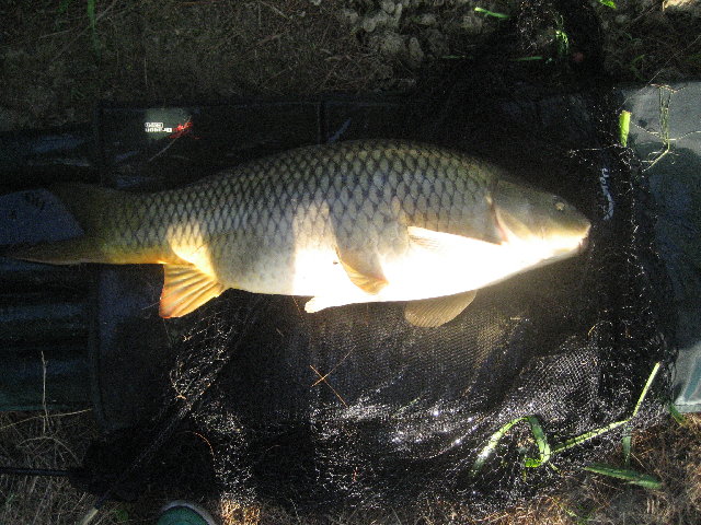 IMG_1892.jpg