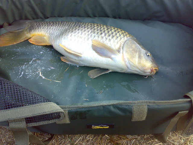 19082011244.jpg