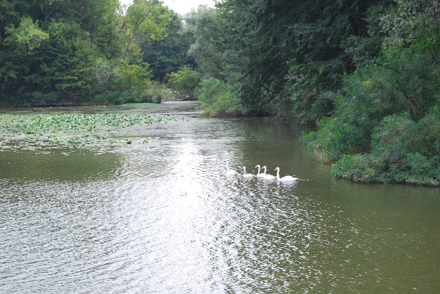DSC_3747.JPG