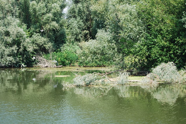 DSC_3817.JPG