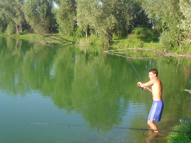 SAM_1729.JPG