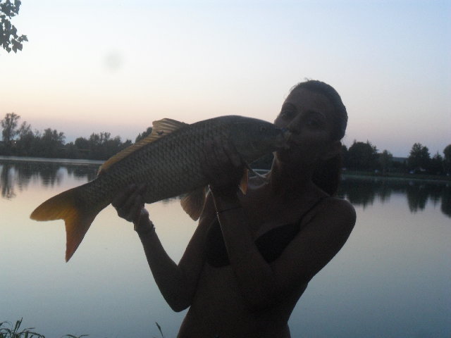 SAM_1741.JPG