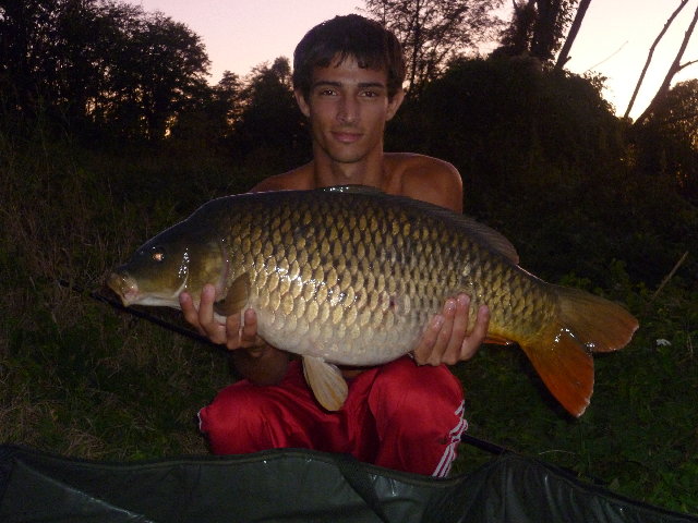 P1010185.JPG (4.73 MiB) Visto 3927 volte P1010185.JPG