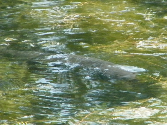 2011_05240067.JPG