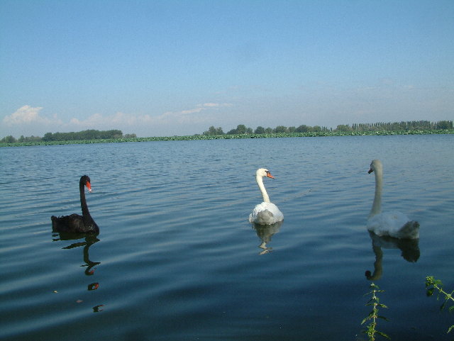 DSCF0082.JPG