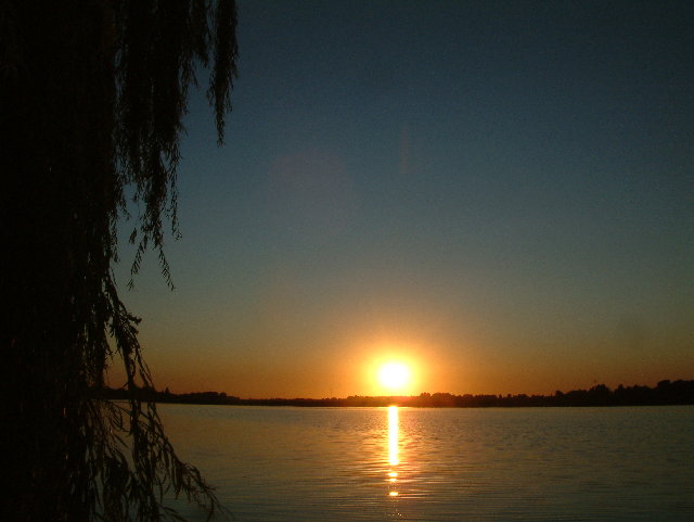 DSCF0100.JPG
