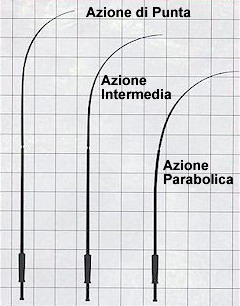 canne_azioni.jpg