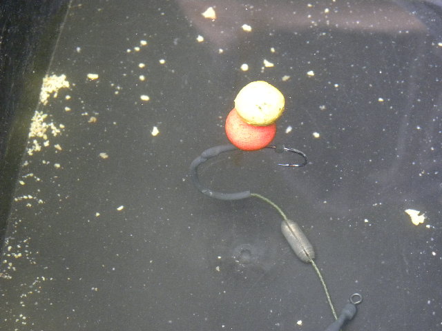 DSCN6057.JPG