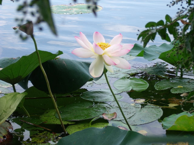 DSCF3825.JPG