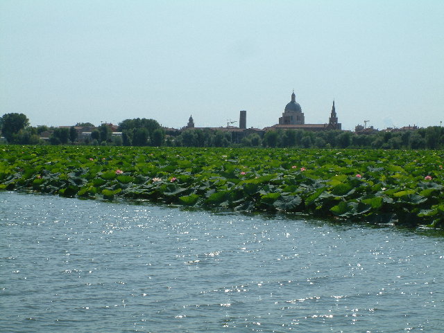 DSCF0061.JPG