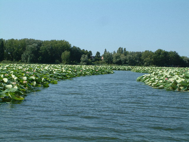 DSCF0064.JPG