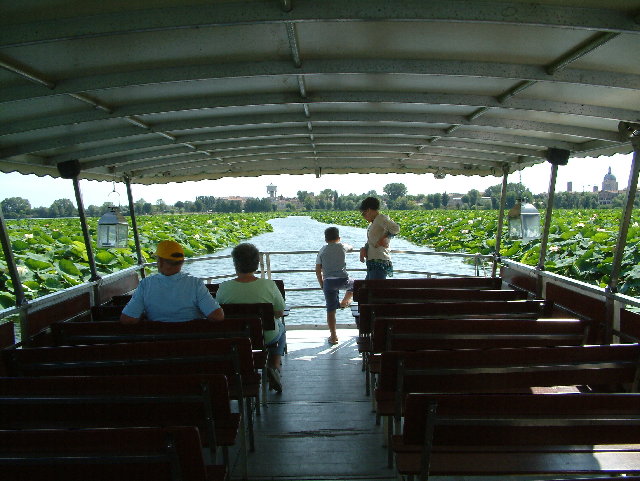 DSCF0087.JPG