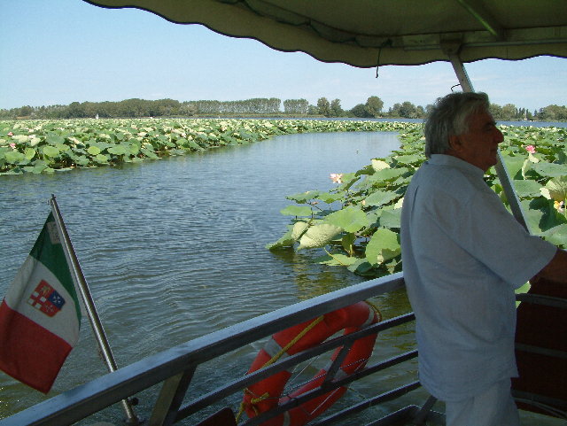 DSCF0101.JPG