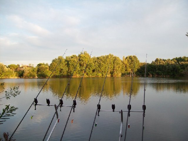 x (9)_800x600.jpg