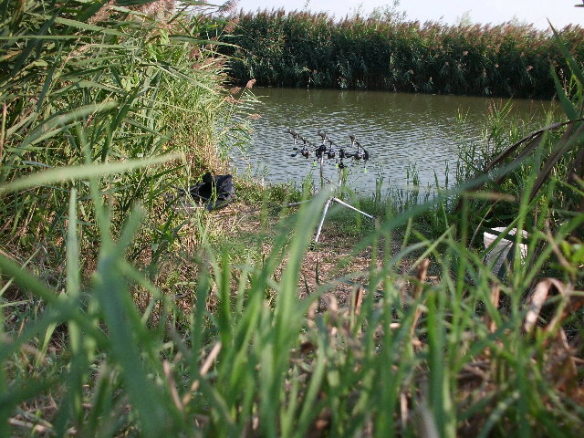 CIMG0310.JPG (3.72 MiB) Visto 4053 volte CIMG0310.JPG