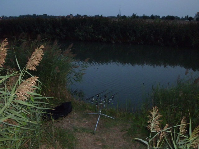 CIMG0313.JPG