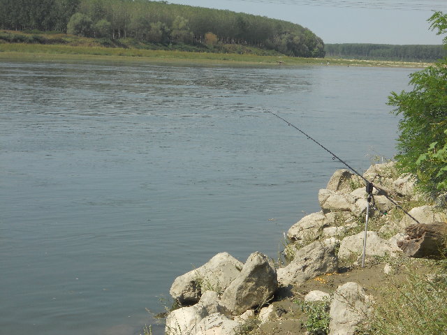 DSCN1734.JPG