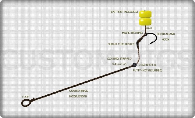 diagram_coated_braid_ringed_ss_blowback.jpg