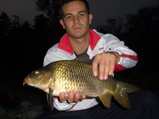 SAM_1492.JPG