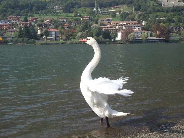 100_2390.JPG (1021.53 KiB) Visto 4310 volte 100_2390.JPG