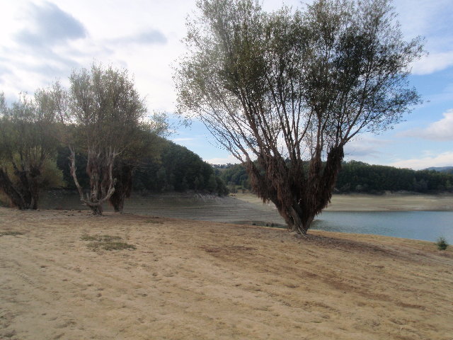 PA070206.JPG