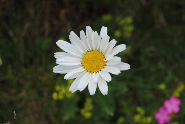 Immagine 089.jpg