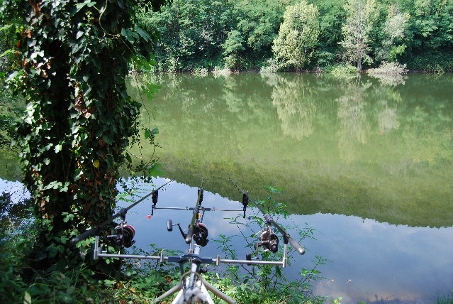 DSC_3639.JPG