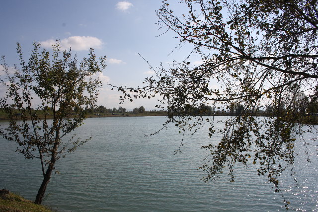 IMG_7278.JPG